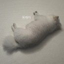 (주)덴몰 | 덴지쿤와사