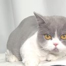 청라원 이미지