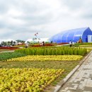 상당구청체육관 이미지