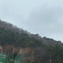 삼성그린세탁 | 건조기용 드라이시트 추천 수건 세탁 건조기 9kg