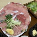 바다에서 온 거북이 꼬따오::향남 회 맛집(대방어)