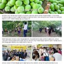 매화락 협동조합 이미지