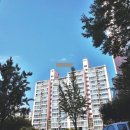 수원-1303 티스토리
