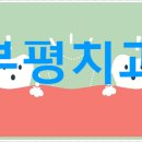 비앤비치과의원 이미지