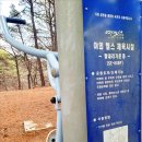 오후의숲