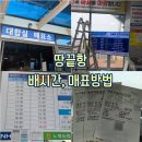 지에스(GS)25 완도노화점 | [해남 : 여행] 신분증 필수인 해남 땅끝항 배시간 및 매표 방법