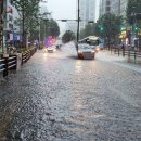 광교본치과의원 네이버블로그