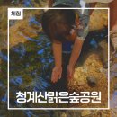 청계사천 냇가 | 경기도 아기랑 갈만한 얕은 계곡 추천 의왕 청계산맑은숲공원