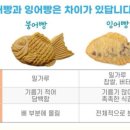 루이까스텔전남 이미지