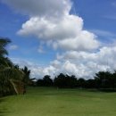 그린골프연습장(실외) 이미지