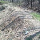 사곡1리(하사) 이미지