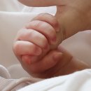 리디아 동물병원 | "임신 중 코로나 감염, 자녀 신경발달장애 위험 더 높아"