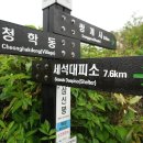 유성온천역(7번 출구) 버스정류장 Daum카페