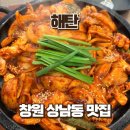 창원 성산구 맛집 해탄 상남점 가성비 점심특선 돌판오징어 후기