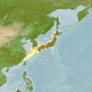 어류도감 - 뱀장어目 - 바다뱀장어科 - 가는물뱀 이미지