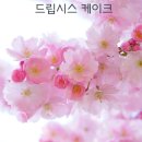 드립시스 이미지