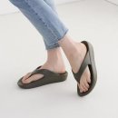 볼드슈 이미지
