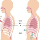 필라테스숲 - 사상구 사상로 211 | 필라테스숲