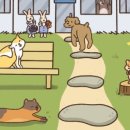 이스케이프C 이미지