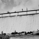 수원-1950 이미지