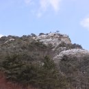 팔구수산 이미지