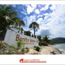 보니또(BONITO)