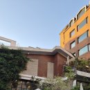 셀라보 | [역삼 카페 추천] 카페413프로젝트 역삼점 내돈내산 후기 | 분위기 좋은 브런치카페, 청모 장소 추천