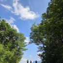 biking tour 편백4종set 중복라이딩 이미지