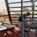 세모난나무 이미지