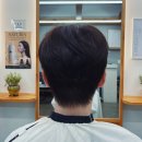 늘푸른헤어
