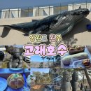 그림 속 고래가 살아 춤추다 | [강원도 원주] 고래가 반겨주는 호수 뷰 맛집, 원주 '카페 고래호수' 아이와 함께한 내돈내산 솔직후기