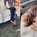 뿔난강아지 이미지