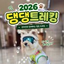 강아지잔칫집 | 2026 댕댕트레킹 3k 완주 솔직 후기-절망편 2탄 | 3K는 그나마 나았던걸까? 지옥의 내리막길