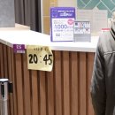 폴라베어 이미지