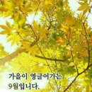 오소 Daum카페