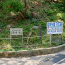 교방동105 이미지