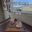 272커피 | 독특한 이끼 인테리어가 매력있는 정선 민둥산 카페 추천 : 넌 커피 내돈내산 후기