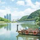 태화강 나룻배 이미지