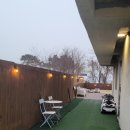 스테이독민박 이미지