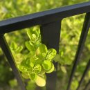 우리동네돌솥감자탕 이미지