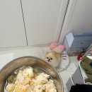 가야동물병원 이미지