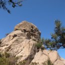 월출산국립공원 천황사주차장 이미지