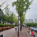 DST푸드 네이버블로그