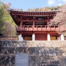 용평동 용호정 티스토리