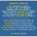 미건온열침대 | 세라젬 장점과 단점 (직접 경험한 솔직 후기)