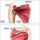 태흥당한의원구서점 이미지