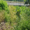 풀천지농장 이미지