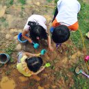 별바라기팬션 이미지