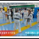 키즈 태권도 현대체육관 이미지