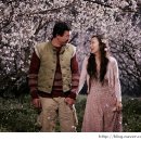 너는내운명 이미지